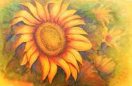 Gail Sawatzky